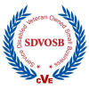 SDVOSB